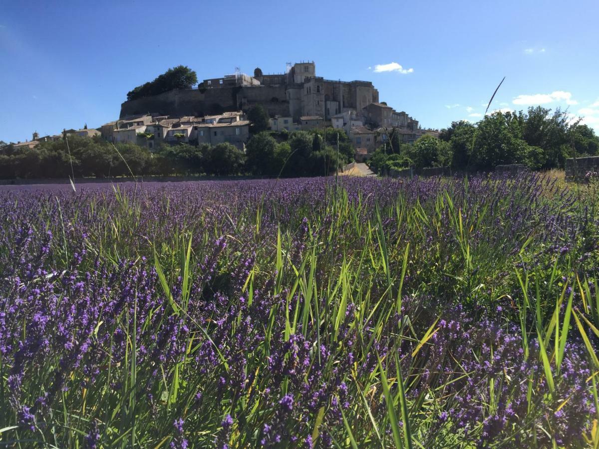 La Vie De Chateau กริญญ็อง ภายนอก รูปภาพ